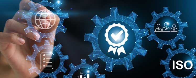 Tecrübe ve Uzmanlık